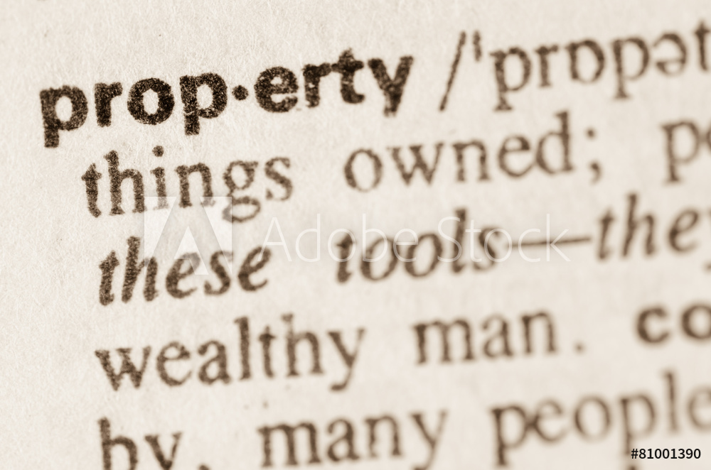 Dictionary definition of word property